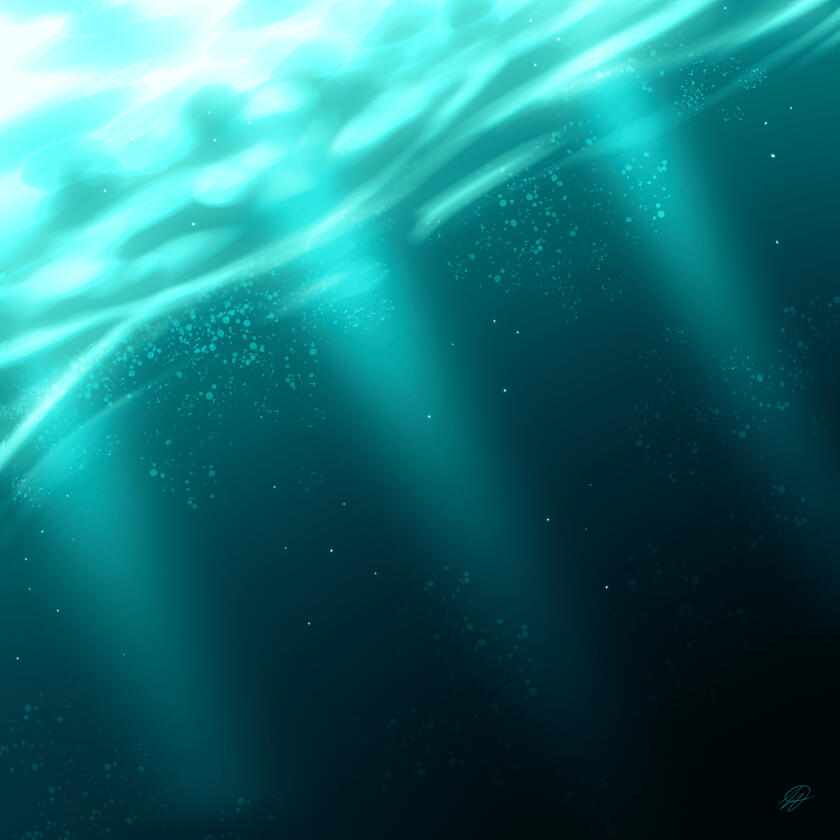 OCEAN STUDY